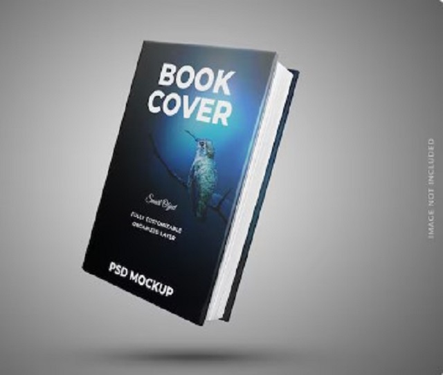 Book Cover Design